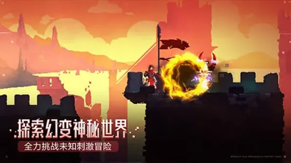 《庇护所》二细胞通关攻略