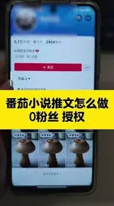 番茄小说如何发布小说