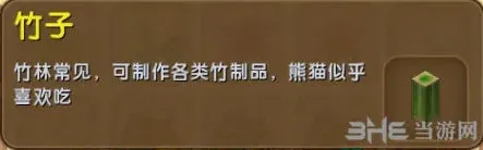 一路熊猫食物介绍 竹子是唯一选择