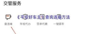 《平安好车主》驾驶行为评分操作详解