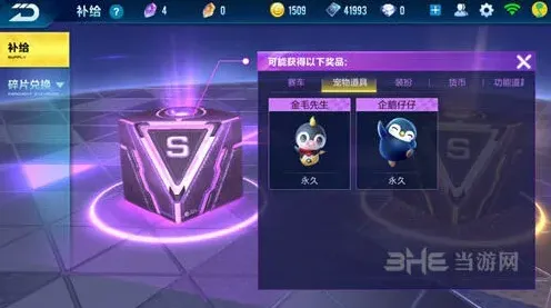 QQ飞车宠物