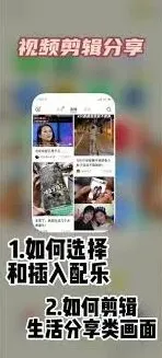 小红书音乐提取速成指南