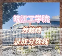 专任教师