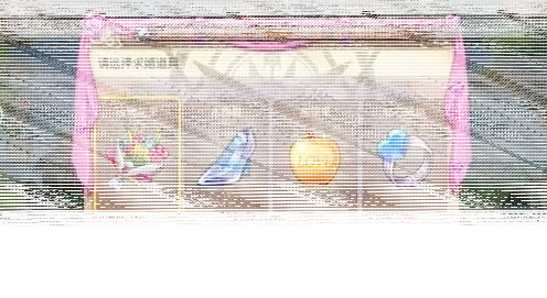 遇见撩妹