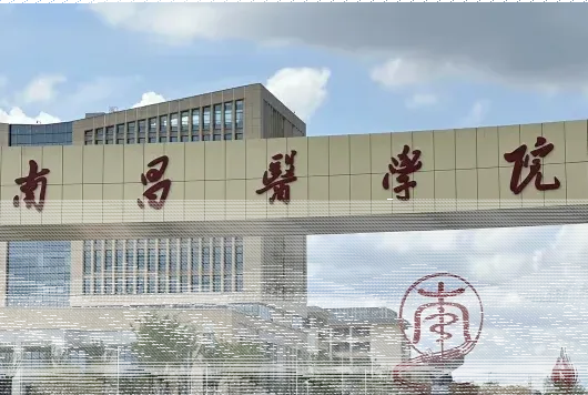 学校
