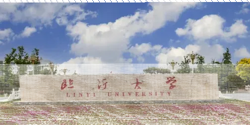 临沂大学