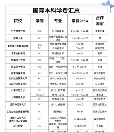 国际本科