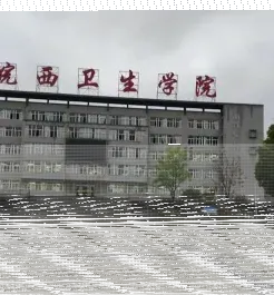 学院