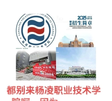 学院