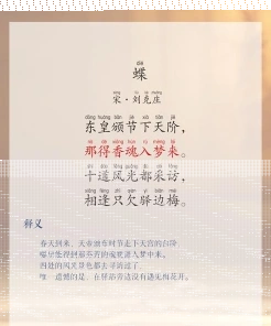 蝴蝶