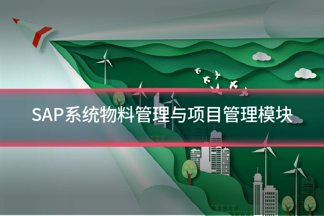 SAP系统物料管理与项目管理模块