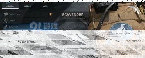 使命召唤食腐鸟