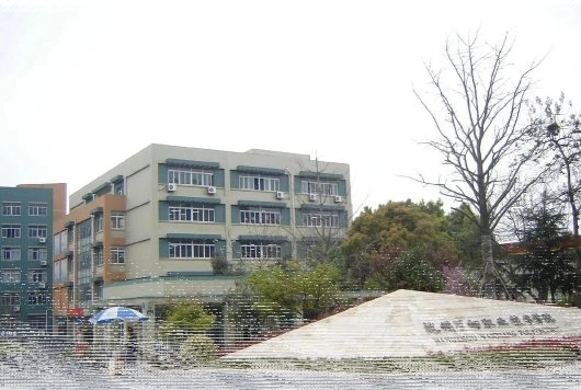 专业