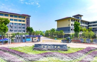 专任教师