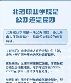 实训