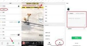 微信视频
