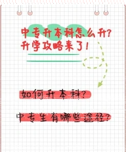 成考