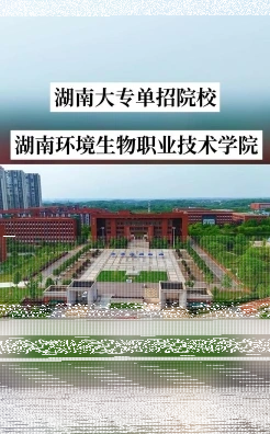 学院