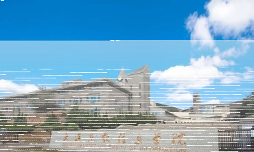 教学成果