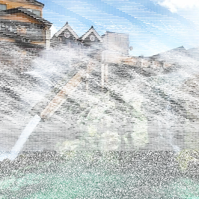 旅行青蛙明信片