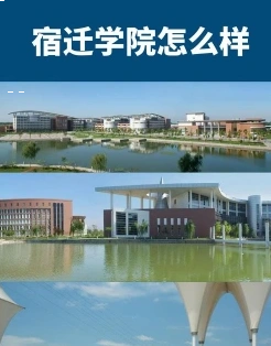 学校