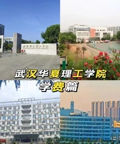学校