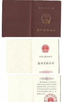教育部门
