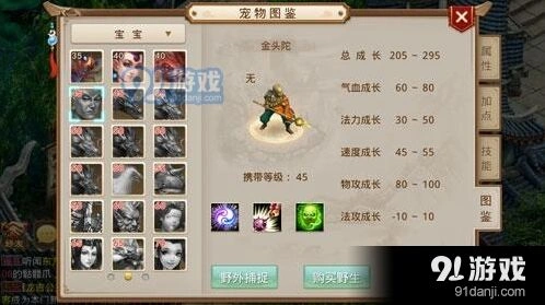 问道宠物快速升级技巧详解