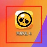 荒野乱斗观战玩法详解