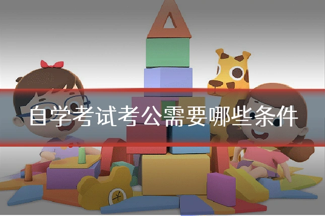 自学考试考公需要哪些条件