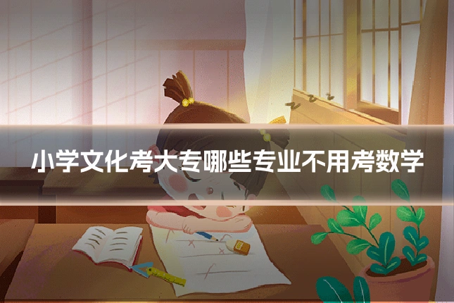 小学文化考大专哪些专业不用考数学