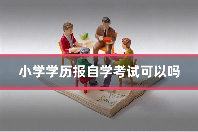 小学学历报自学考试可以吗