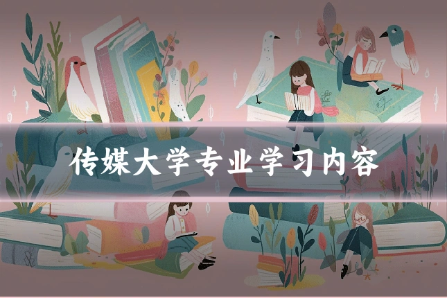 传媒大学专业学习内容
