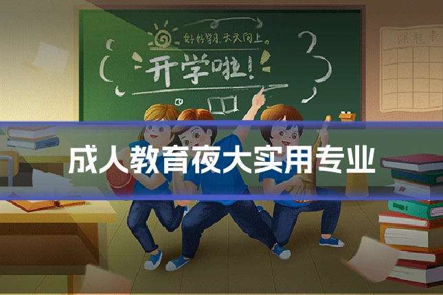成人教育夜大实用专业