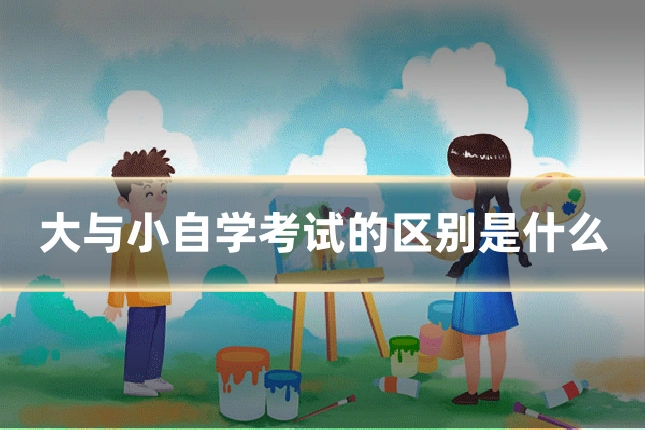 大与小自学考试的区别是什么