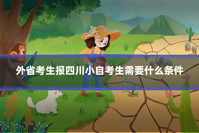 外省考生报四川小自考生需要什么条件