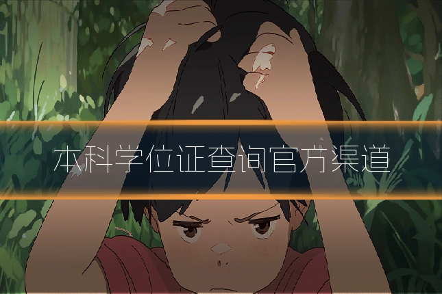 本科学位证查询官方渠道