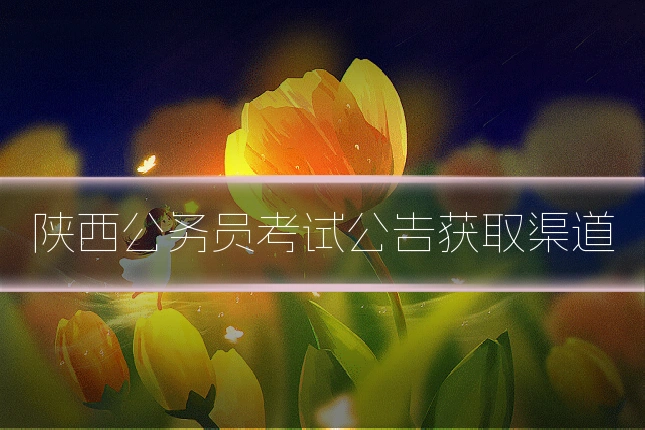 陕西公务员考试公告获取渠道