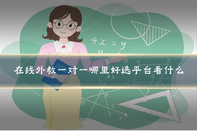 在线外教一对一哪里好选平台看什么