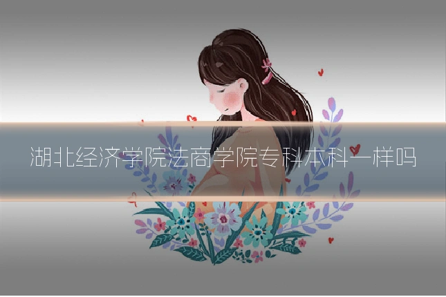 湖北经济学院法商学院专科本科一样吗