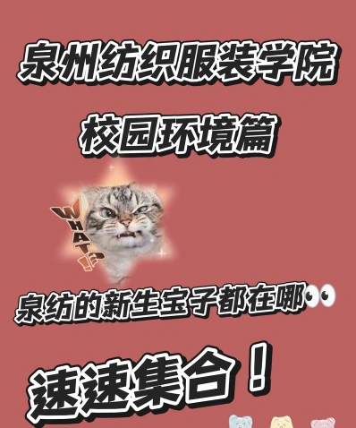 全日制专科