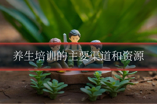 养生培训的主要渠道和资源