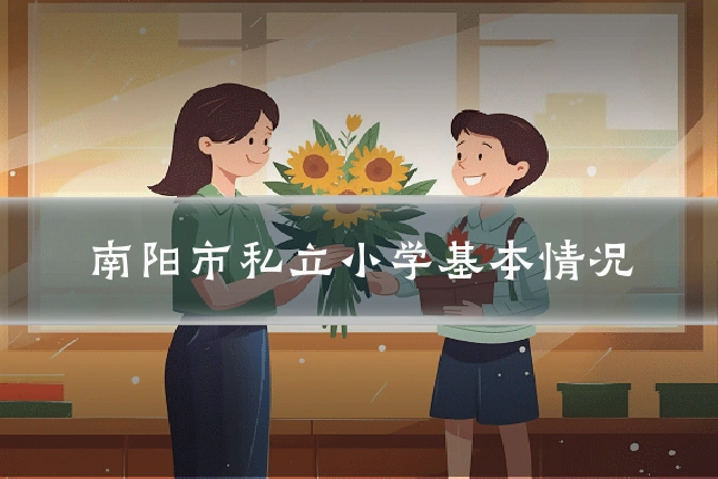 南阳市私立小学基本情况
