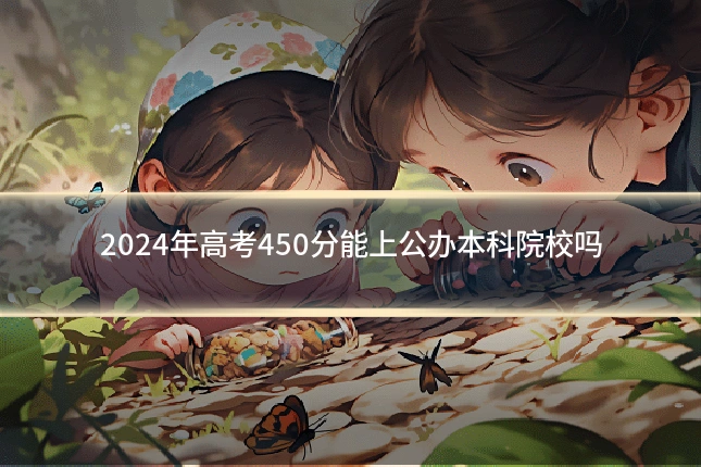 2024年高考450分能上公办本科院校吗