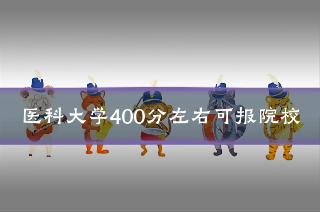 医科大学400分左右可报院校
