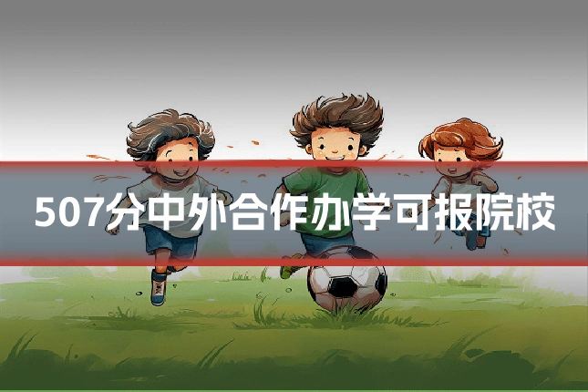 507分中外合作办学可报院校
