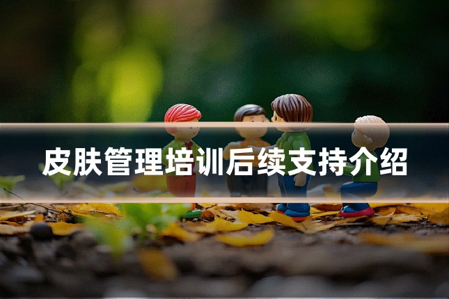 皮肤管理培训后续支持介绍