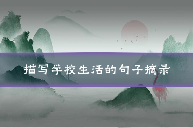 描写学校生活的句子摘录