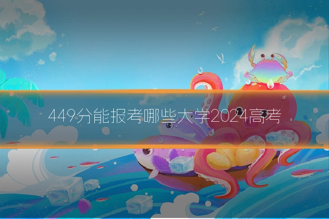 449分能报考哪些大学2024高考