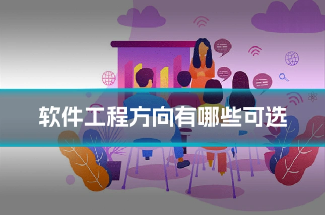 软件工程方向有哪些可选